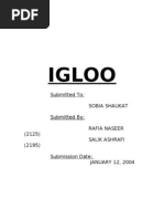 Download IglooReportbyMuhammadYasirSaleemSN21030816 doc pdf