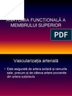 Anatomia Functionala Membrul Superior