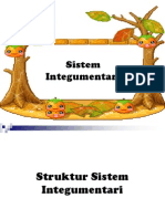 12 Sistem Integumentari