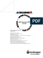 Comments For pEF/myc/nuc/GFP 6232 Nucleotides