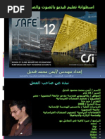 تعليم برنامج safe v 12