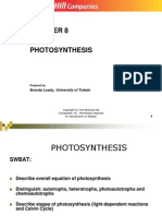 Chapt08 Lecture Photosynthesis 4 1