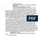 Intrebari Si Raspunsuri Pentru Examen La Integrare Economica Si Economie Europeana. (Conspecte - MD)