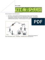 Metagenesis Lumut dan Paku