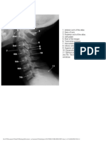 Anatomia Radiologica