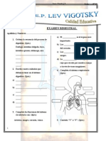 Ciencia y Ambiente 3ero