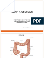 Colon Absorcion[1]