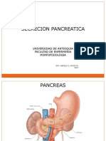 Secrecion Pancreatica y Absorcion