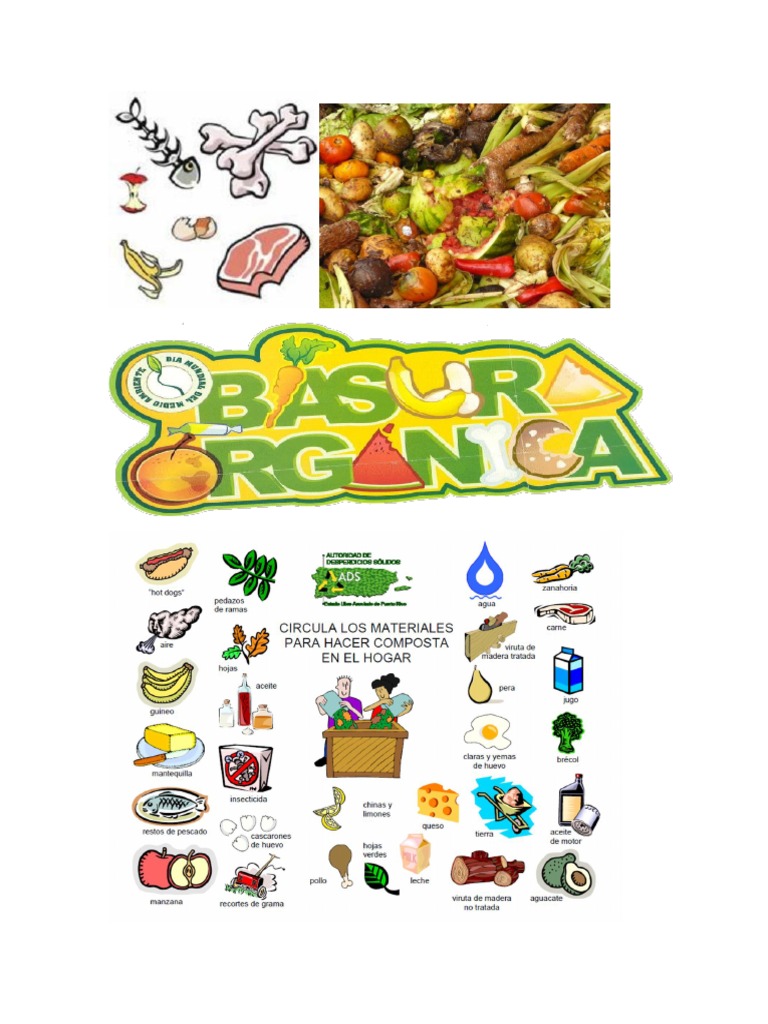 Basura Organica e