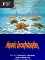 Download hepatic Encephalopathy Ppt by Riko Djong SN210467059 doc pdf