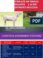 Dr. Abdul Rehman: Director