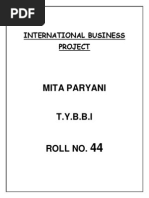 Mita Paryani: International Business Project