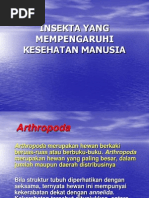 Download Insecta dan Arthropodappt by Nur Indah Sari SN210478137 doc pdf