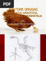Download ANATOMI UNGGAS by Dian Agustiar SN210481954 doc pdf
