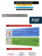 Sistema Endocrino