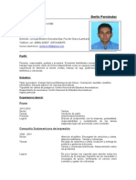 CV Autualizado Derlis