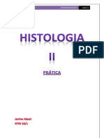 Histologia II