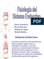 Fisiología del Sistema Endocrino por oscarrete