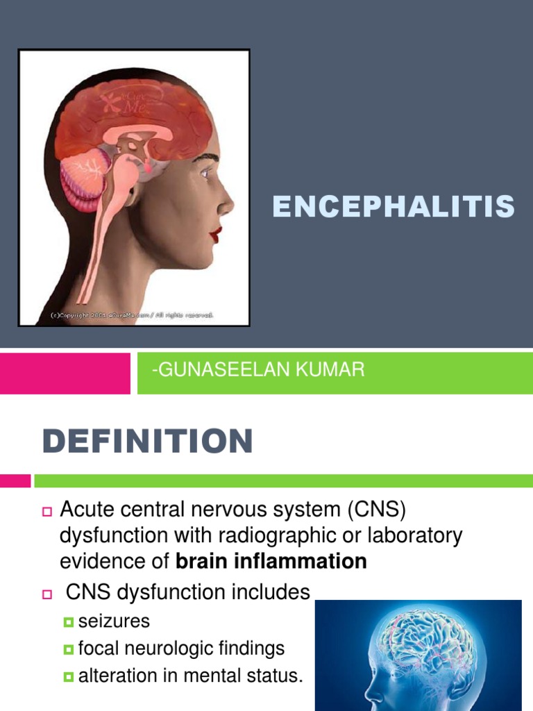 Understanding Encephalitis Causes & Treatment | PDF | Virus | Rabies