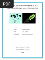 Download MAKALAH MIKROORGANISME by Maxi Ryan SN210512563 doc pdf