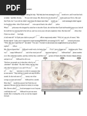 A Missing Cat