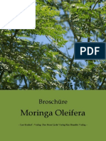 Moringa Broschüre