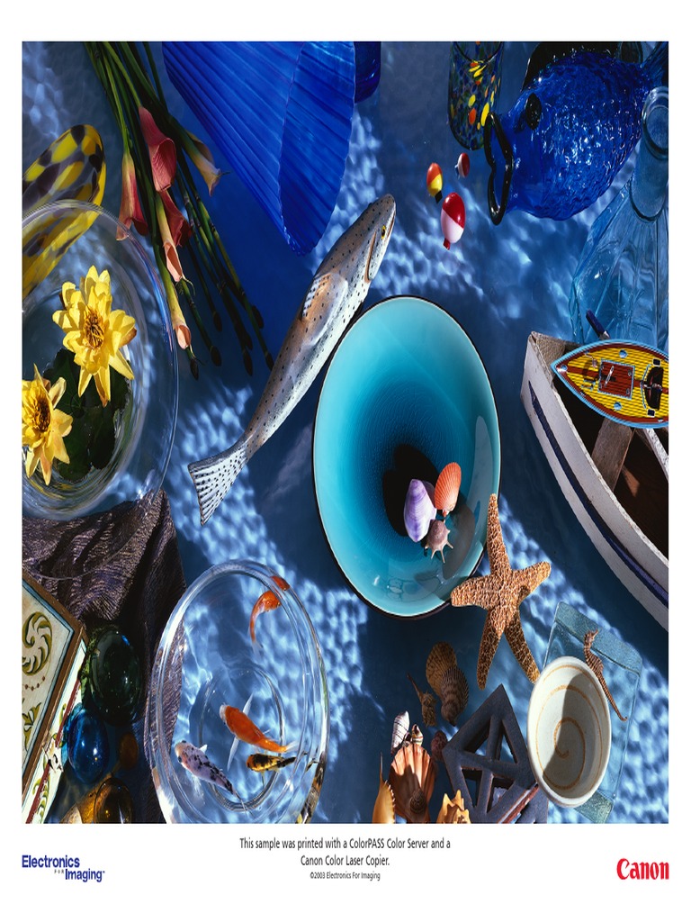 Canon ColorPASS Print Sample | PDF