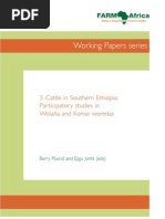 Download FARM-Africa Working Paper Cattle in Southern Ethiopia Participatory studies in Wolaita and Konso woredas by FARMAfrica SN21054194 doc pdf