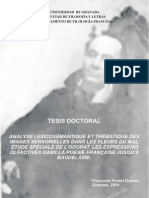 Images Sensorielles Dans Les FDM PDF
