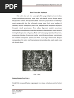 Download Foto Udara Dan Bagianya by Andaru Marantika SN210576983 doc pdf