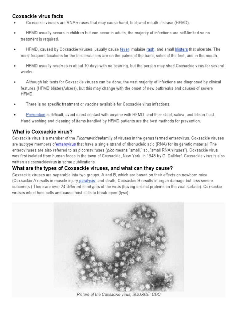 Coxsackie Virus Facts Infection Public Health
