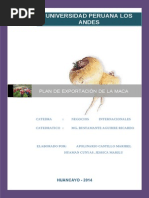 Plan Para Precentacion Hoyyy