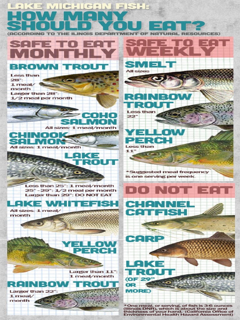 Lake Michigan Fish How Many Should You Eat? PDF