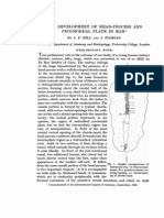 Development of Head-Process Man': THE AND Prochordal Plate in