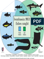 Fishesofbeaubassin 1