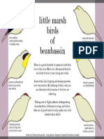 Littlemarshbirds