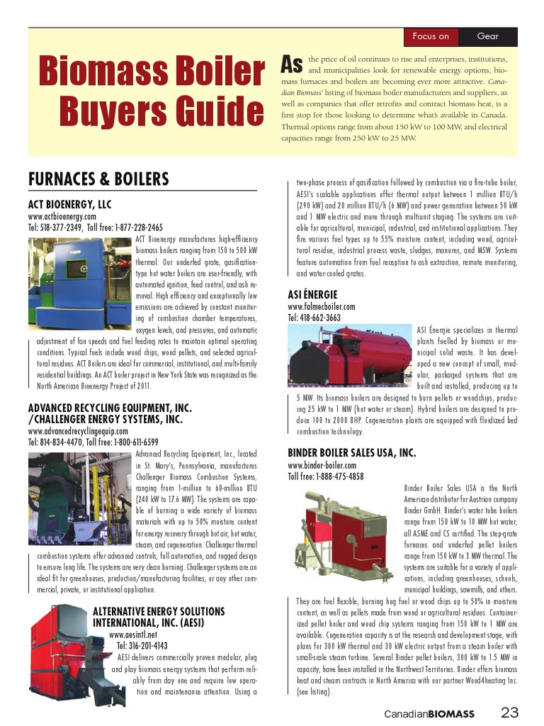 Biomass Boiler Solutions and Suppliers | PDF | Biomass | Gasification