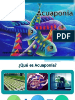 Exposicion Acuaponia
