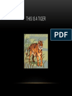 This Is A Tiger