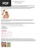 Download Modul 2 Obstruksi Jalan Nafas Bawah Fix by Satriya Dharma SN210711149 doc pdf