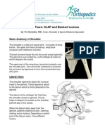 Slaplesions Bankart Labral Tears