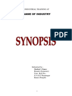 Synpsis