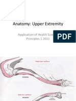 Anatomy of The Shoulder Girdle and Scapulohumeral Rhythm