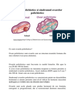 Abruptia placentara: Abruptio Placentae