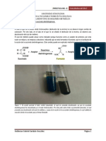 Bioquímica metabólica_práctica 3