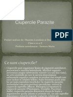 Ciupercile Parazite