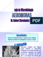 Aeromonas Presentación