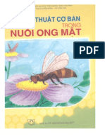 Kỹ Thuật cơ bản nuôi ong mật