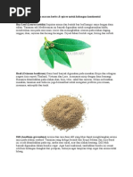 Download bumbu-bumbu kontinentaldoc by berrystrawbery SN210772146 doc pdf