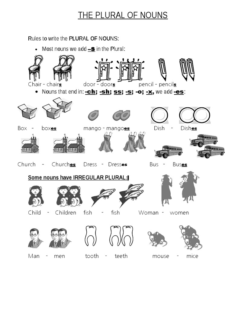Rules To Write The PLURAL OF NOUNS Most Nouns We Add in The Plural PDF